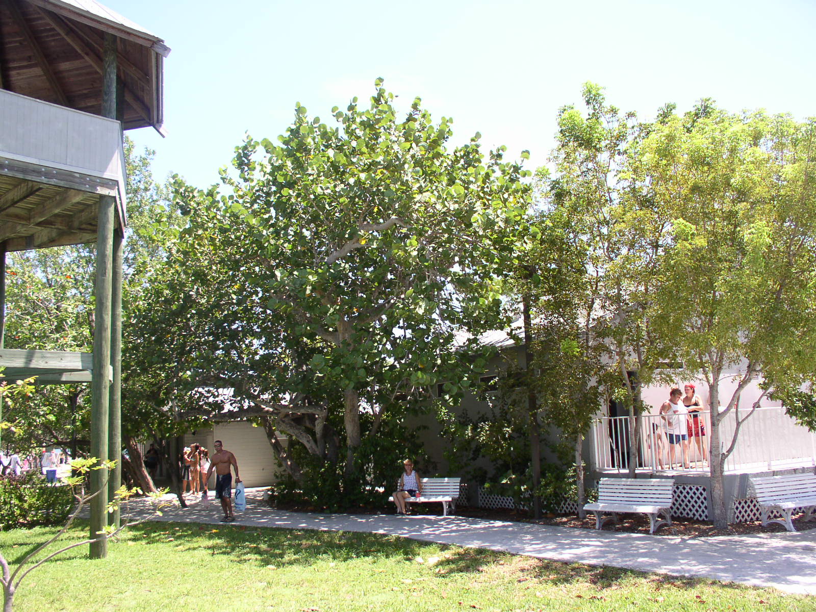 photo1